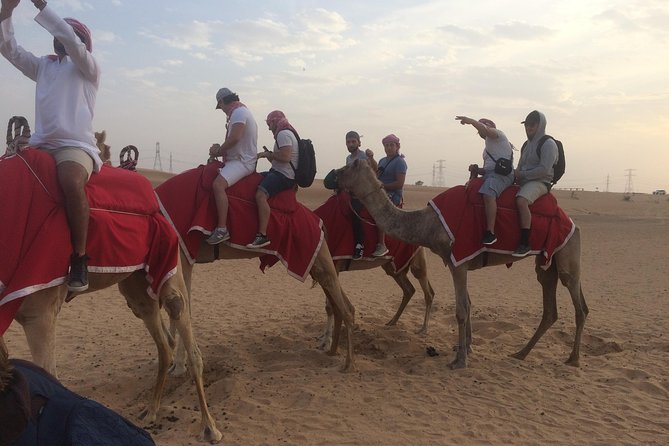 Dubai: Desert Camel Ride with Live Shows & BBQ Buffet Dinner - One hour across the dunes at sunset