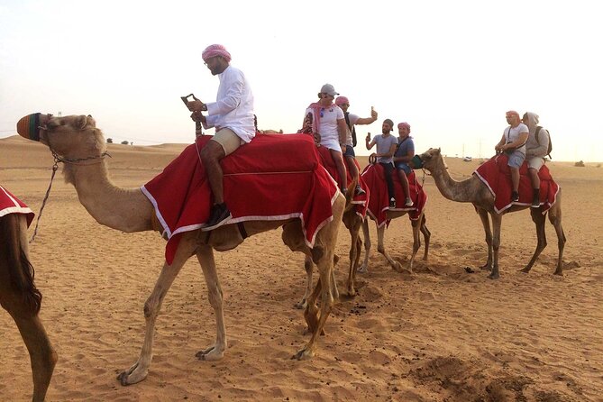 Dubai: Desert Camel Ride with Live Shows & BBQ Buffet Dinner - What $110 buys you