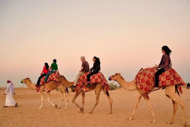 Dubai: Desert Camel Ride with Live Shows & BBQ Buffet Dinner - A safety briefing before the camel ride