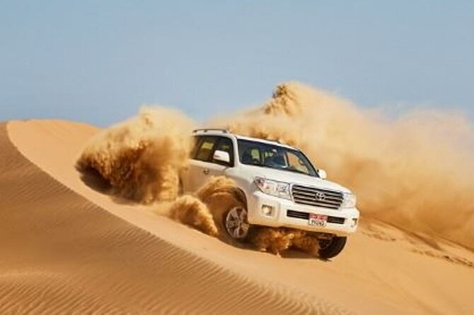 Dubai Desert Escape: Red Dunes Safari, Falcon, Camel & BBQ Dinner - Key points at a glance