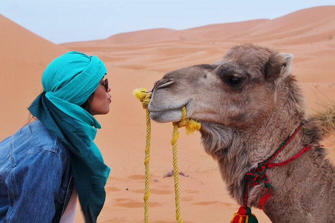 Dubai Desert Escape: Red Dunes Safari, Falcon, Camel & BBQ Dinner - Sunset photos, sandboarding, and a camel ride