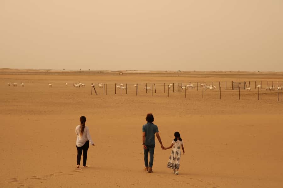 Dubai Desert Morning Drive with Wildlife Experience - Is $85 a fair price?
