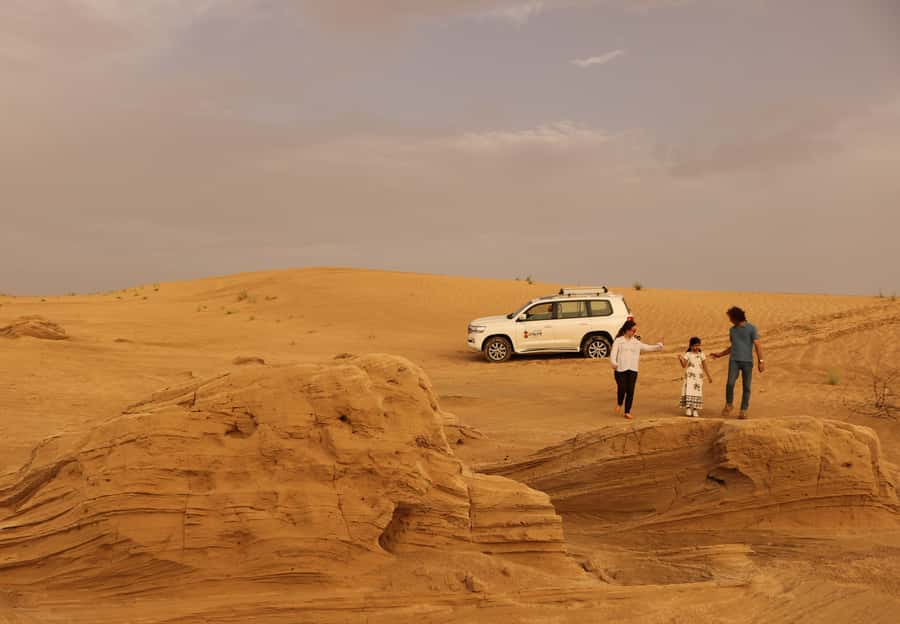 Dubai Desert Morning Drive with Wildlife Experience - Booking flexibility and practical details