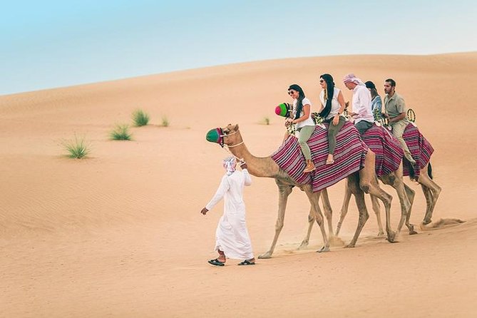 Dubai Desert Red Dune Half-Day Safari Adventure and BBQ Dinner - BBQ dinner under the evening sky