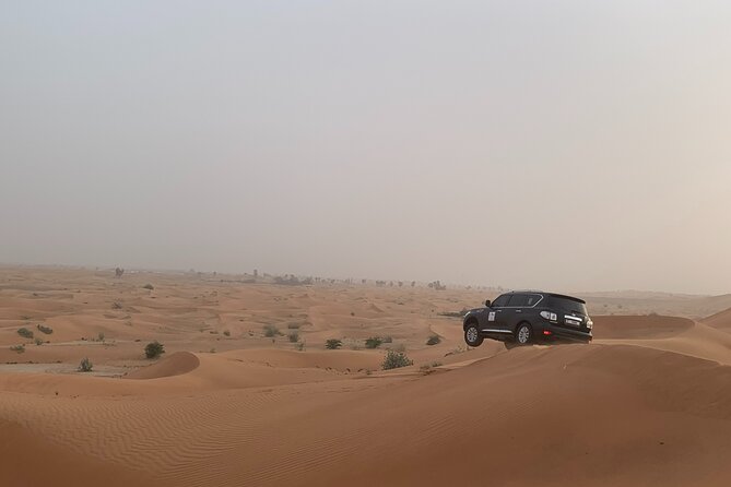 Dubai Desert Safari-BBQ Dinner, Belly Dance, Fire show - Leaving Dubai for the red-sand desert