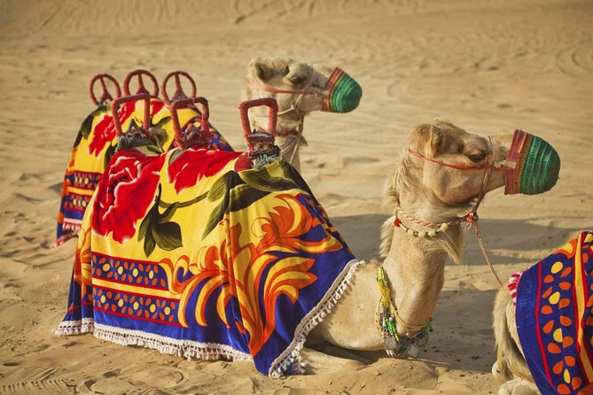 Dubai Desert Safari-BBQ Dinner, Belly Dance, Fire show - Arriving at the Bedouin-style camp