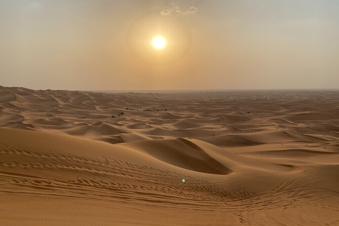 Dubai Desert Safari, Camel, Live BBQ & Shows (Private 4x4 Car) - BBQ dinner and the evening program