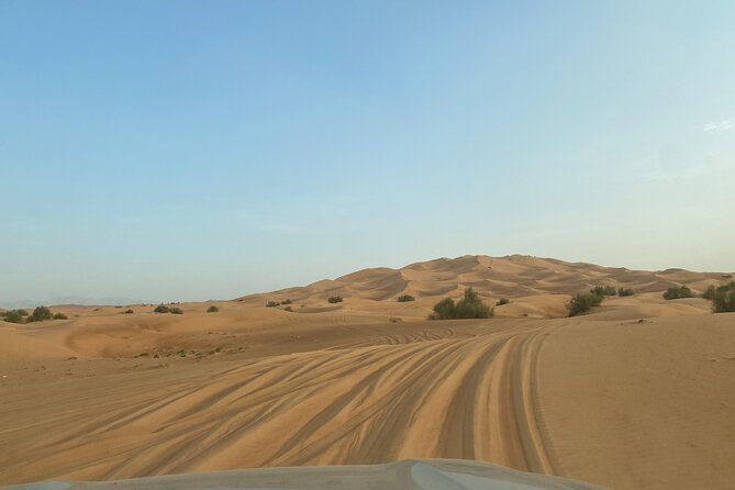 Dubai Desert Safari, Camel, Live BBQ & Shows (Private 4x4 Car) - Choosing the right driver and setting expectations