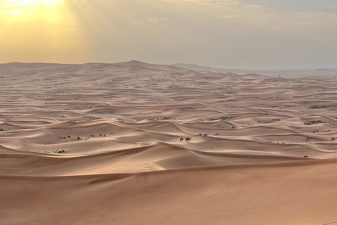 Dubai Desert Safari, Camel, Live BBQ & Shows (Private 4x4 Car) - Al Aweer camp: camel ride, henna, and drinks