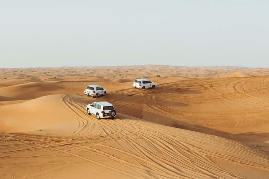 Dubai: Desert Safari, Camel Ride, and BBQ Dinner - Key points before you book