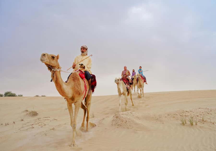 Dubai: Desert Safari, Camel Ride, Sandboard & Buffet Dinner - From Dubai hotel to open desert