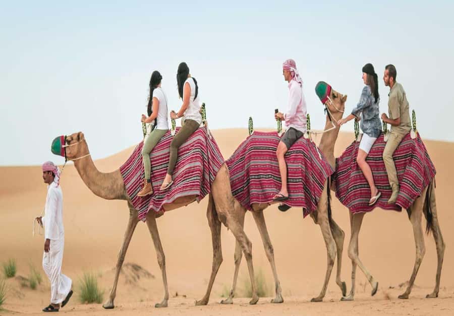 Dubai: Desert Safari, Camel Ride, Sandboard & Buffet Dinner - Sandboarding for beginners