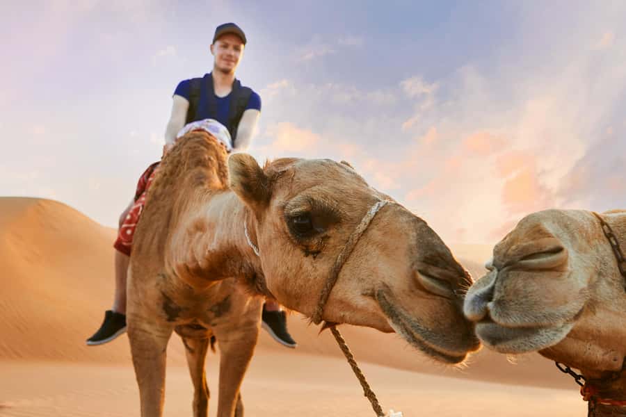 Dubai Desert Safari - Camel Ride, Sandboarding & 30 Min Quad - Morning or afternoon: choose the right light