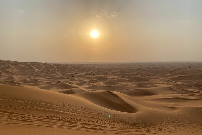 Dubai Desert Safari, Camel Ride, Shisha, Henna, Live BBQ & Shows - Who should choose this Dubai safari?