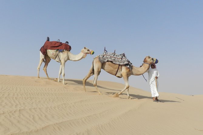Dubai Desert Safari Dune Bashing, 60min ATV Quad, Camel Ride, BBQ - Who will enjoy this safari most