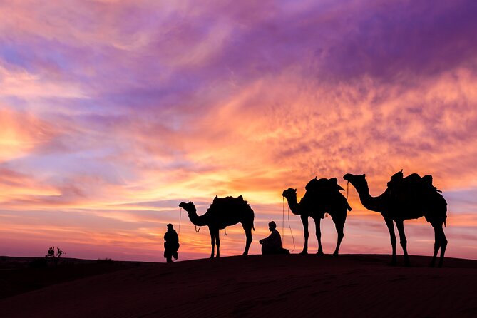 Dubai Desert Safari Dune Bashing, Camel Ride, Sand Boarding, BBQ Dinner. - Sandboarding on the Red Sand