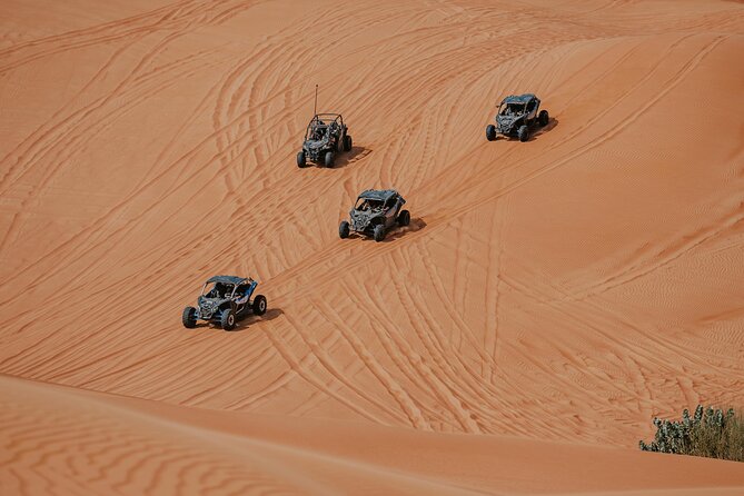 Dubai Desert Safari Dune Bashing, Camel Ride, Sandboarding & BBQ - BBQ buffet dinner: good value, not a food tour