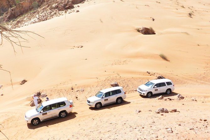 Dubai Desert Safari Exclusive jeep, activities, shows (01-05 persons) per jeep - The Majlis camp and its shared atmosphere