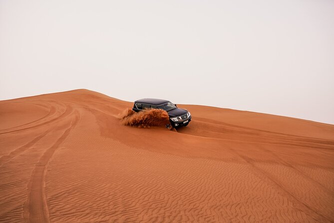 Dubai Desert Safari: Experience the Best of the Arabian Desert - Who Will Enjoy This Safari Most