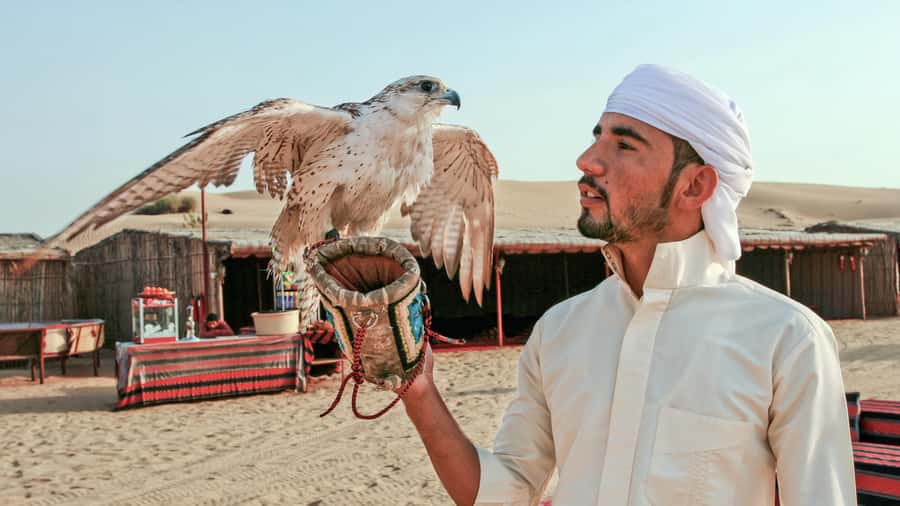 Dubai Desert Safari - Premium BBQ Dinner, Camel Ride & Shows - Practical Details That Affect Your Choice