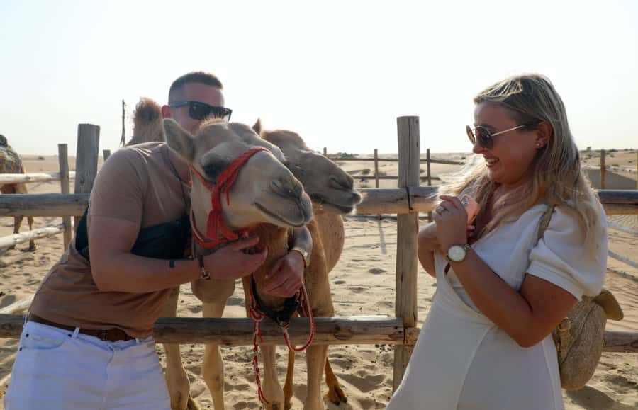 Dubai: Desert Safari, Quad Bike, Sandboarding, Camels & BBQ - Who will enjoy it most