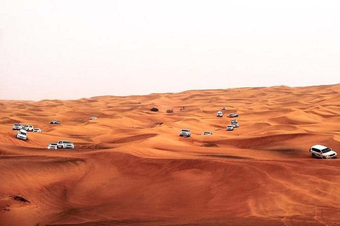 Dubai Desert Safari Red Dune: BBQ, Camel Ride & Sandboarding - Key things to know before booking