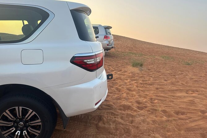 Dubai Desert Safari Thrilling Adventure Unforgettable Experiences - Who will enjoy this Dubai safari most?