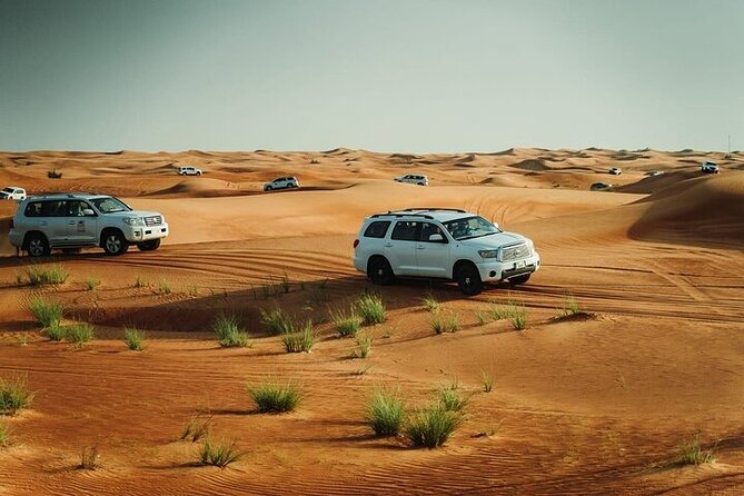 Dubai Desert Safari Tour by 4WD with Options - Timing, Cancellation, and Practical Tips