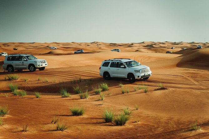 Dubai Desert safari Tour with Live BBQ & Belly Dance Shows - The photo stop gives the day some breathing room