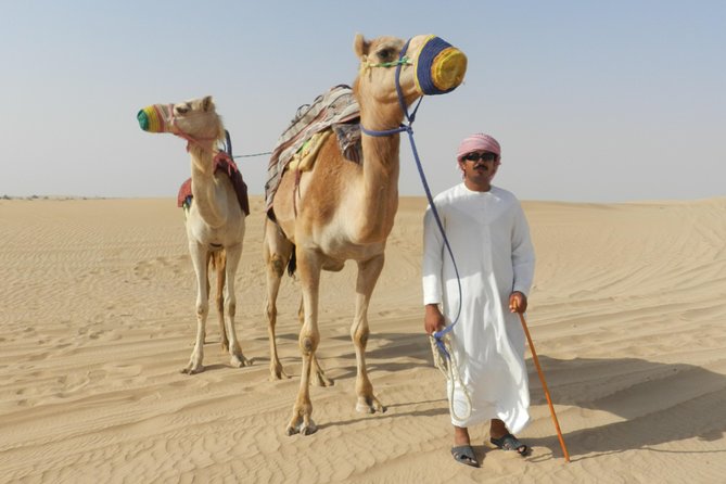 Dubai Desert Safari with BBQ, 3 Shows & Camel Ride at Majlis Camp - Henna, Arabic dress, and shisha