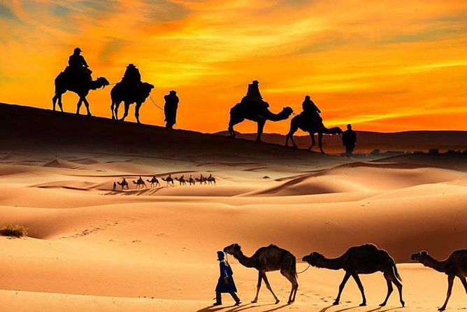 Dubai Desert Safari with BBQ, 3 Shows & Camel Ride at Majlis Camp - Sandboarding and sunset photo stops