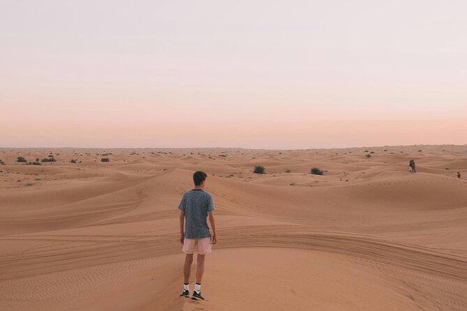 Dubai Desert Safari with BBQ Dinner and Live Shows - A Short Camel Ride With Traditional Touches