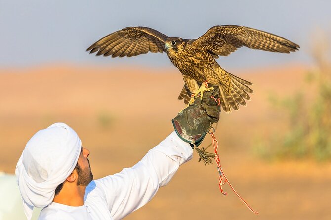 Dubai Desert Safari with BBQ Dinner in red sand - Why this six-hour desert outing works well