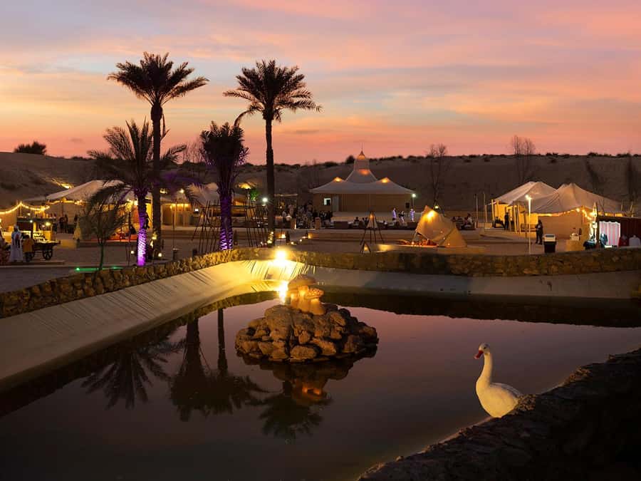 Dubai: Desert Safari with BBQ Dinner & Quad Biking Option - Choosing between the morning, evening, and dinner-only options