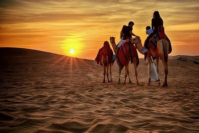 Dubai Desert Safari With BBQ, Quad Bike And Camel Ride - Sandboarding is simple, short, and fun