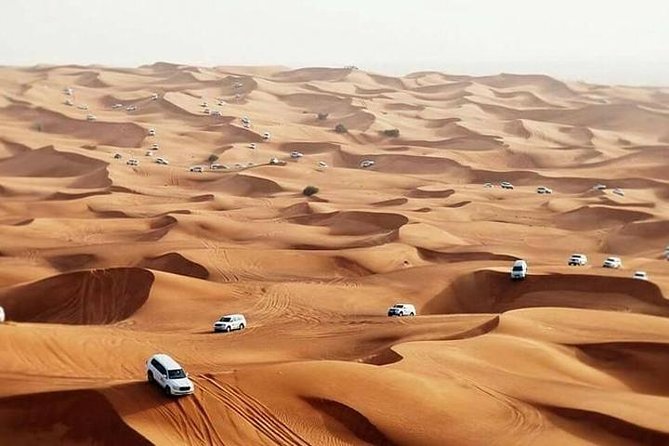 Dubai Desert Safari with BBQBuffet, Dune Bashing, Boarding, Camel - Leaving Dubai at 2:30 pm