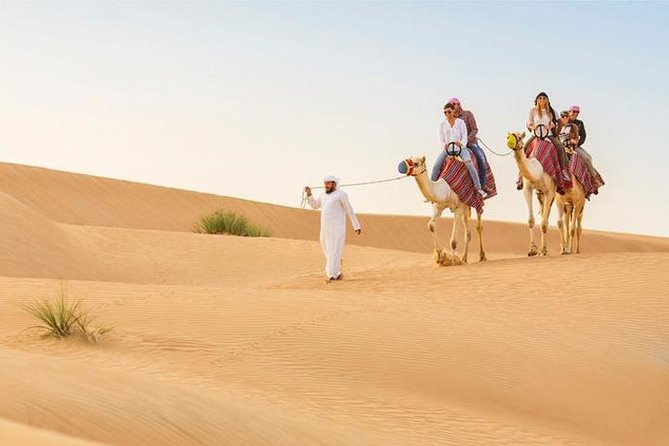 Dubai: Desert Safari with Camel Ride & Dune Bashing - Key things to know before booking
