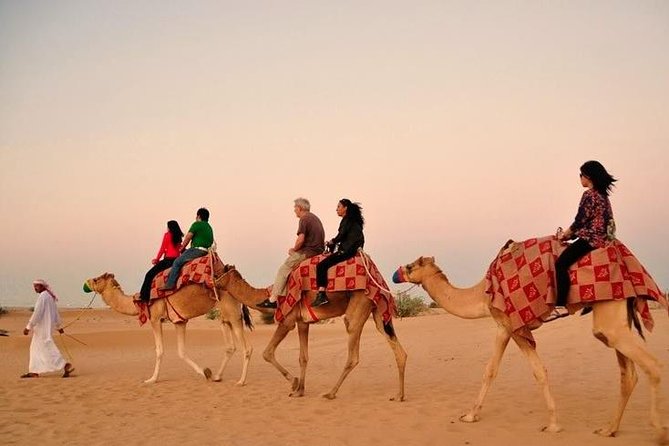 Dubai Desert Safari with Camel Riding and Belly Dance - Key points to know before booking