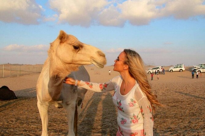 Dubai Desert Safari with Camel Riding, Sand Boarding,BBQ Dinner and 3 Live Shows - Dune bashing in Al Awir