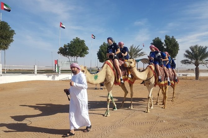Dubai Desert Safari with Camel Riding, Sand Boarding,BBQ Dinner and 3 Live Shows - Sandboarding and the camel ride