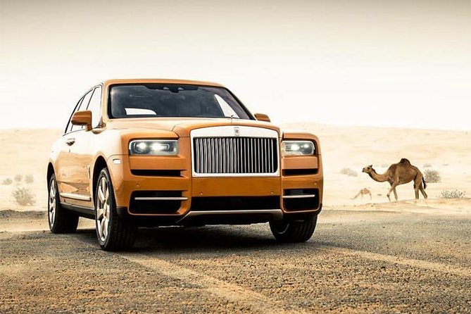Dubai Desert Safari with Dance show, Sand Boarding, Camel & BBQ - Key things to know before booking