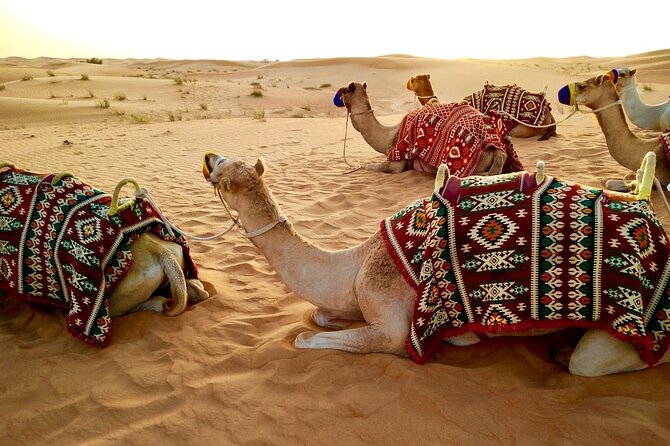 Dubai Desert Safari with Dinner - BBQ Dinner, Drinks, and the Evening Shows