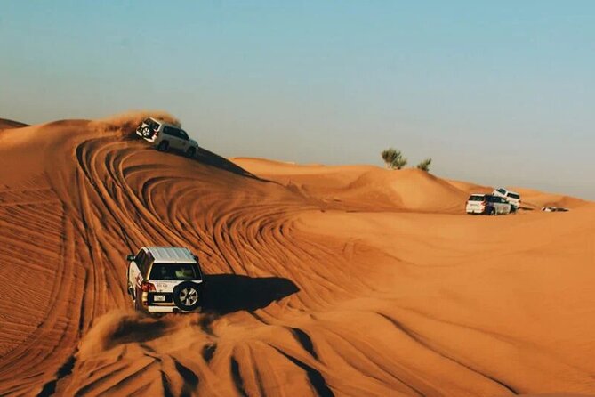 Dubai Desert Safari with Dinner - What the $49 Price Really Covers