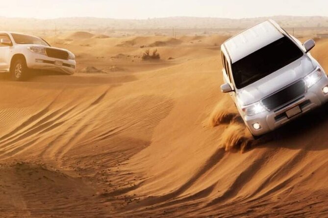 Dubai Desert Safari with Dinner - Who Will Enjoy This Safari Most