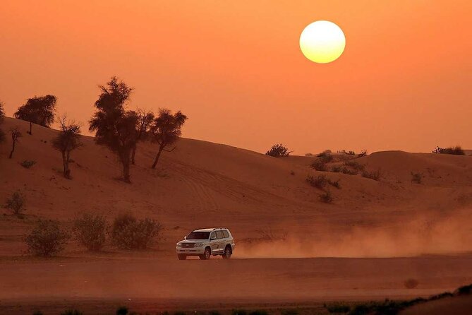 Dubai Desert Safari with Dinner - Practical Tips for a Better Evening