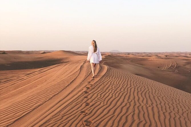 Dubai Desert Safari with Dinner, Camel Ride & Dune Bashing - Is the $60 price good value?