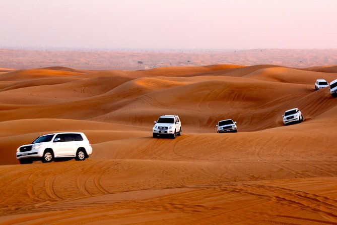 Dubai Desert Safari with Dune Bashing, Camel Ride, & BBQ Dinner - Who should choose this desert safari