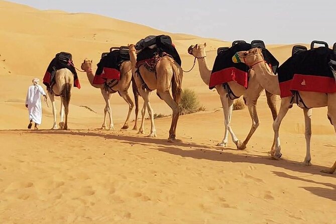 Dubai Desert Safari with Dune Bashing, Camel Ride, & BBQ Dinner - What the one-hour dune-bashing ride feels like