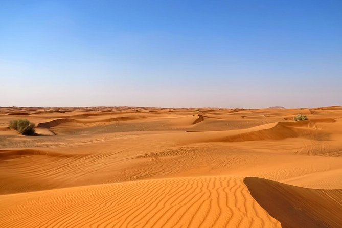 Dubai Desert Safari with Dune Bashing, Camel Rides & BBQ - What the $51 Price Really Covers