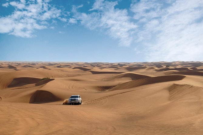 Dubai Desert Safari with Dune Bashing, Camel Rides & BBQ - Sand Boarding and Camel Rides